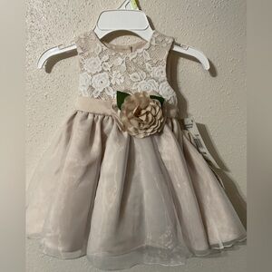 Rare Editions Baby Girls Easter Lace Bodice to Organza Skirt Dress Size 18 M.